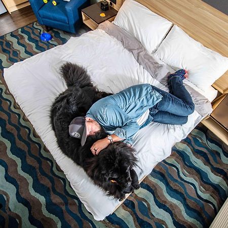 Accent Inns Kelowna Zewnętrze zdjęcie
