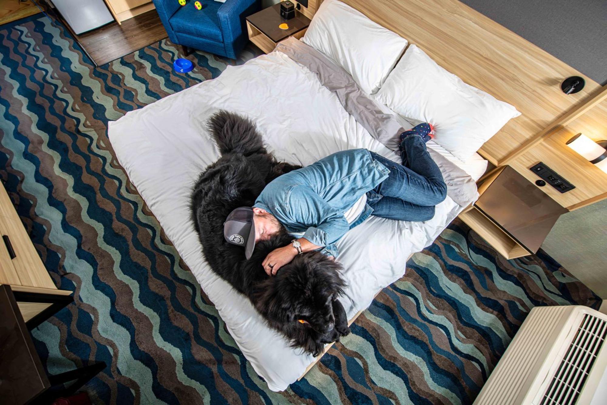 Accent Inns Kelowna Zewnętrze zdjęcie