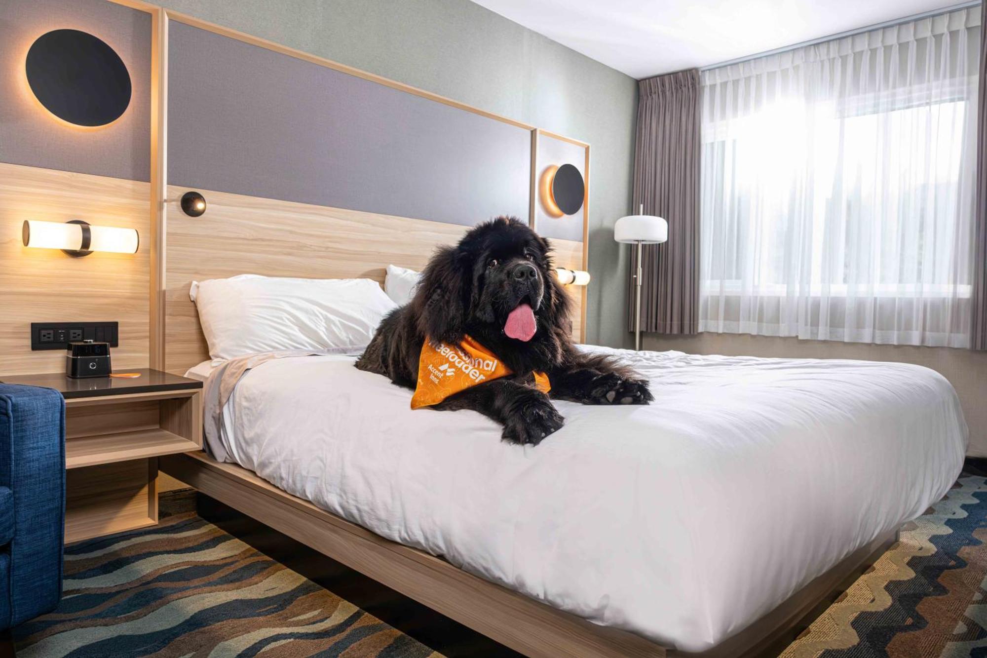 Accent Inns Kelowna Zewnętrze zdjęcie
